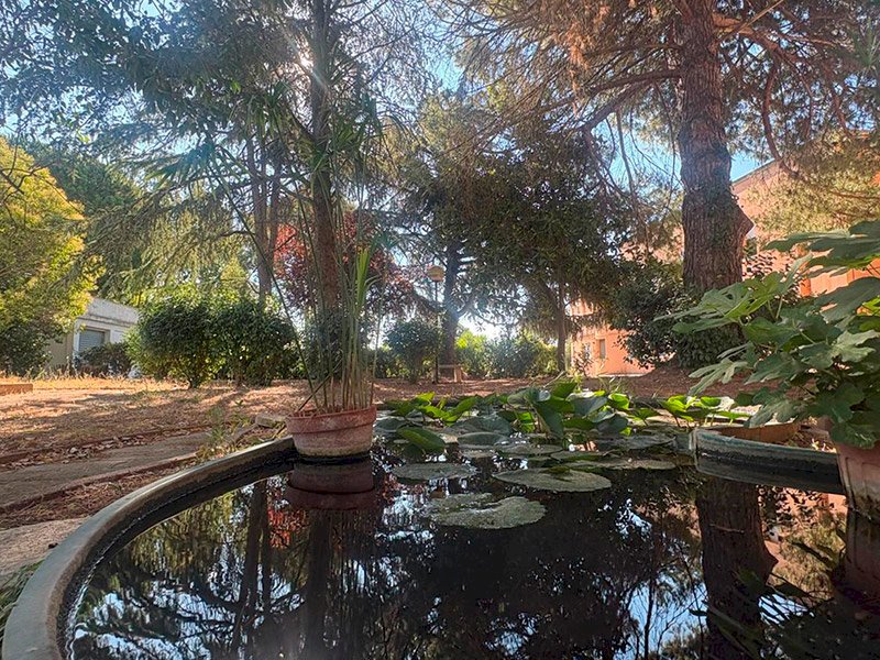 R.S.A. E CASA DI RIPOSO PADRE SEMERIA